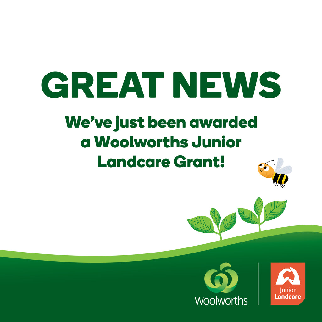 Harbord School Awarded Woolworths Junior Landcare Grant